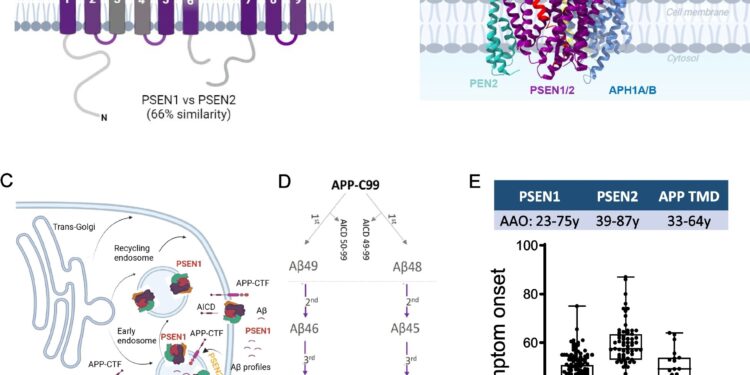 Alzheimer’s “genetic clock” model offers a calendar for the start of the disease in families