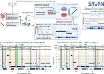 Automatic learning algorithm provides Long Reading Read sequencing at the clinic