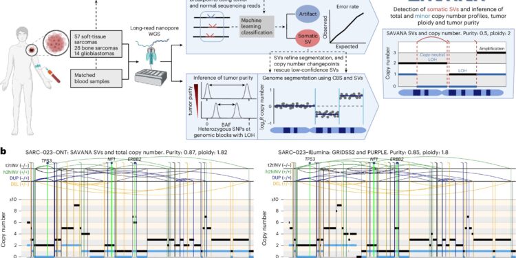 Automatic learning algorithm provides Long Reading Read sequencing at the clinic