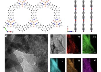 Electrosynthesis of urea from combustion gas reaches high efficiency without ammonia by-products