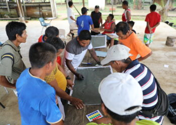 Forests thrive where cultural values ​​are deep, discover the study
