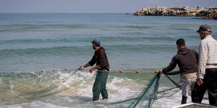Gaza fishermen and their farmers eat herbs and turtles with the aggravation of famine economy