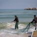 Gaza fishermen and their farmers eat herbs and turtles with the aggravation of famine economy