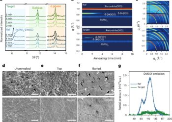 Lewis’ basic training strategy on demand stimulates the efficiency and stability of perovskite solar cells