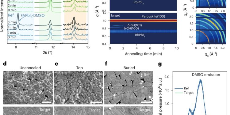 Lewis’ basic training strategy on demand stimulates the efficiency and stability of perovskite solar cells