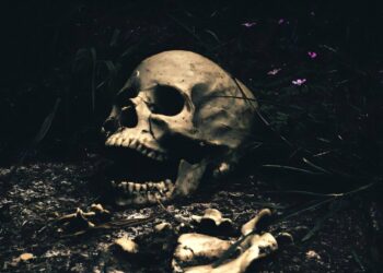 Maya’s former funeral study calls into question the theory of human sacrifices, indicates acts of creation of places