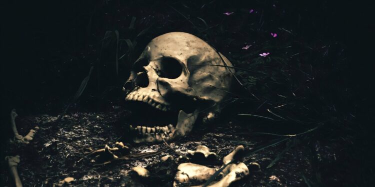 Maya’s former funeral study calls into question the theory of human sacrifices, indicates acts of creation of places