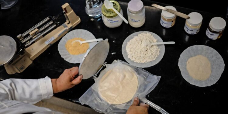Mexico scientists develop a tortilla for people without refrigerator