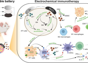 New generation biobatterie shrinks the tumor, paving for cancer treatments without medication