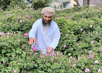Omani leads a technical innovation to produce rose water in Green Mountain economy