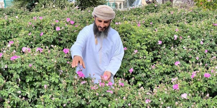 Omani leads a technical innovation to produce rose water in Green Mountain economy