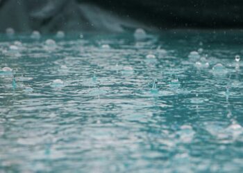 Organic particles can be crucial to induce heavy rains, suggest climatologists