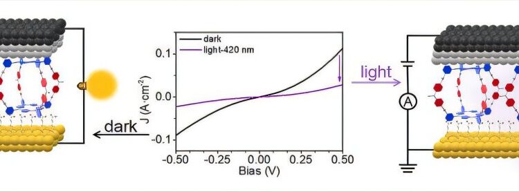 Photoressive cages are promising for accordable supramolecular electronics