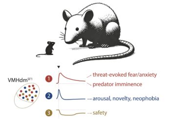Populations of distinct neurons in the hypothalamus code the states associated with threats linked to predators