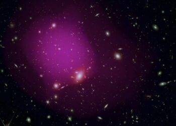 Precursor cell of identified cancer; Webb spots more old galaxies