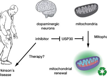 Promising parkinson drug decoded