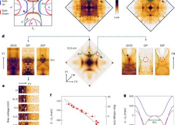 Research highlights the future applications of Spintronics and Valleytronics