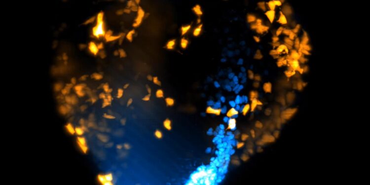 Scientists film the heart that forms in 3rd earlier than ever before