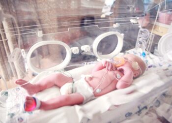 Skin skin contact improves breastfeeding but not cognitive results in very premature infants: clinical trial