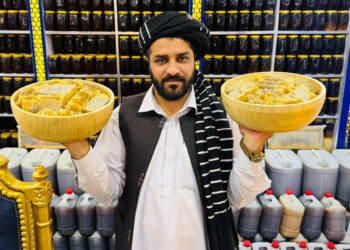 Sweet gold .. Honey industry in Afghanistan thrives despite challenges economy