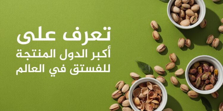 The 10 largest producing and exporting pistachio countries in the world, including an Arab country economy