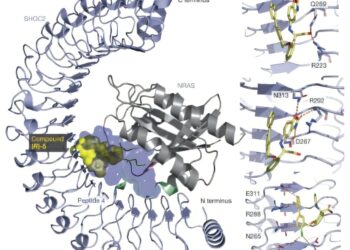 The CRISPR screen on a genome scale identifies a new target in melanoma focused on nras