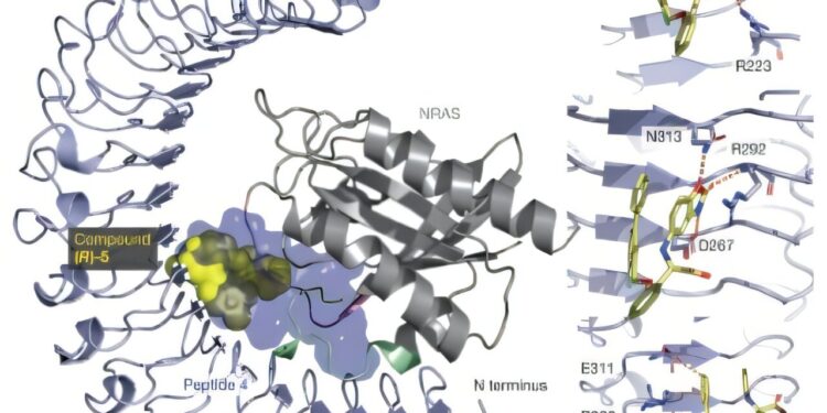 The CRISPR screen on a genome scale identifies a new target in melanoma focused on nras