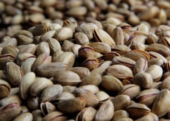 The Washington and Beijing Agreement saves the American pistachio crop from collapse economy
