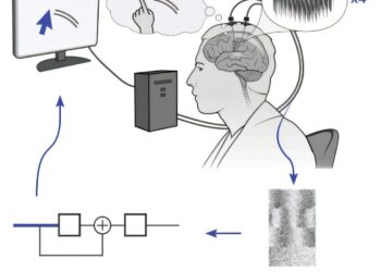 The brain interface allows speech decoding and computer control in the patient ALS