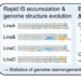 The jump genes accelerate bacterial evolution in the laboratory