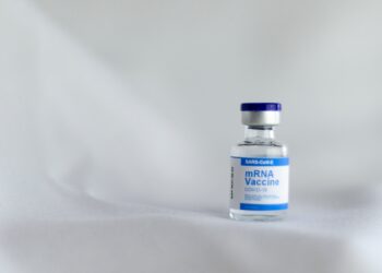 The lipid nanoparticles “ furtive ” give the vaccines to the arnm a makeover