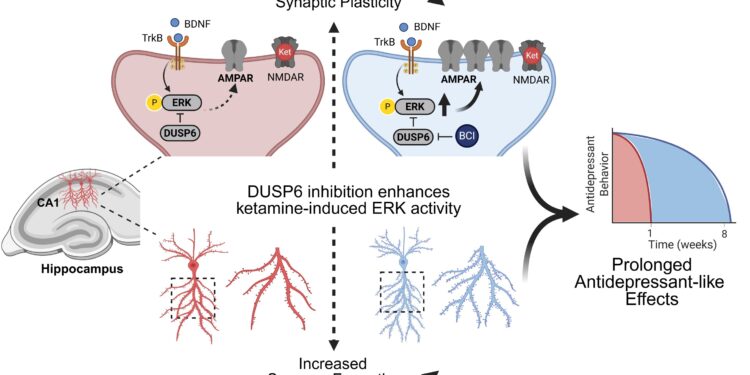 The molecular approach prolongs the antidepressant effects of ketamine in mice by weeks