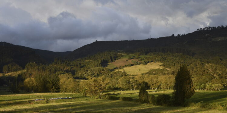 The old DNA discovers an unknown group near the terrestrial bridge of the Americas 6,000 years ago