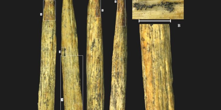 The point of the old bone lance found in Russia is the oldest in Europe and manufactured by Neanderthals