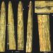 The point of the old bone lance found in Russia is the oldest in Europe and manufactured by Neanderthals
