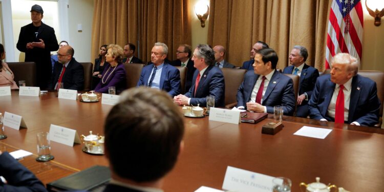 These are Elon Mask’s financial losses after leaving his political position economy