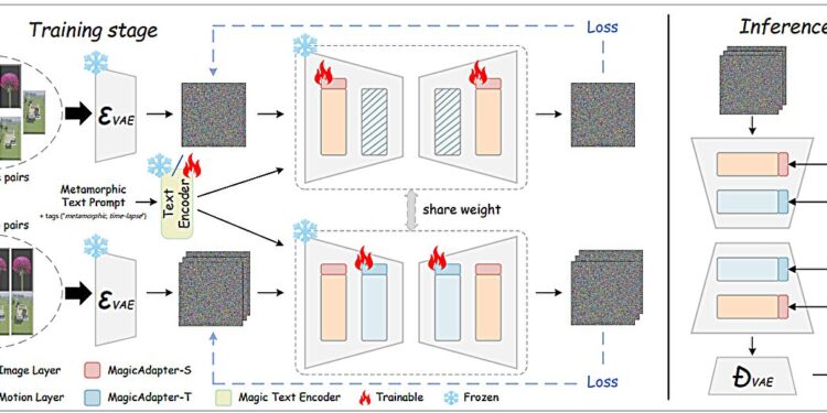 Video text of flowers with new metamorphic video capacities