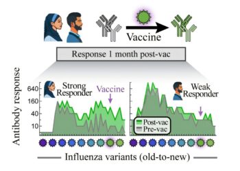Will this year’s flu vaccine protect you? The answer is hidden in your blood