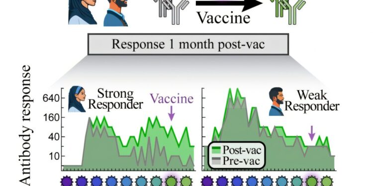 Will this year’s flu vaccine protect you? The answer is hidden in your blood