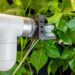 Gentle Robot Gripper gives the plant leaves a “blow” of sensors and genes for intelligent agriculture