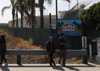 California | An agricultural worker loses his life after a descent of the immigration police