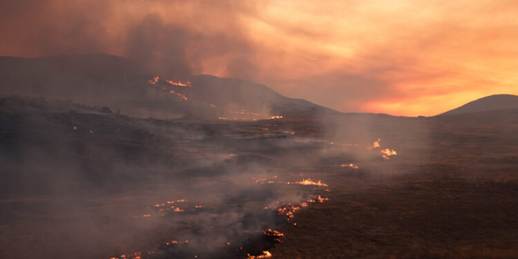 California | Firefighters are progressing in front of a gigantic fire