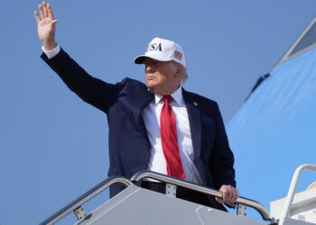 Important gains from Donald Trump | Victories that worry lawyers