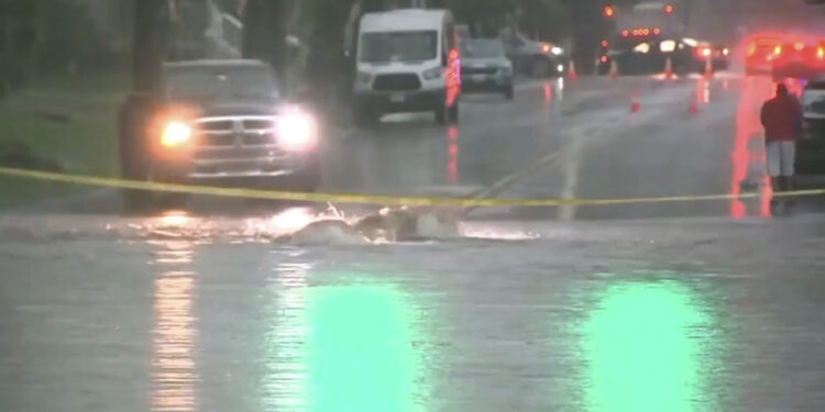 New York and New Jersey | Torrential rains cause floods and disrupt transport