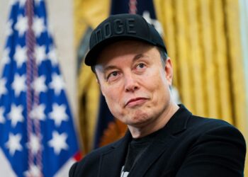 “Party of America” ​​| Musk’s plan for 2026
