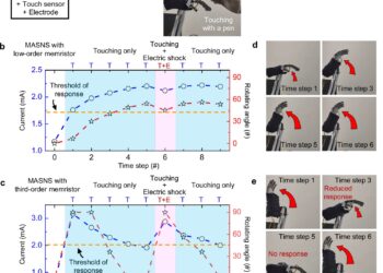 Robot hand “feels” pain and ignores harmless touch with a new sensory system
