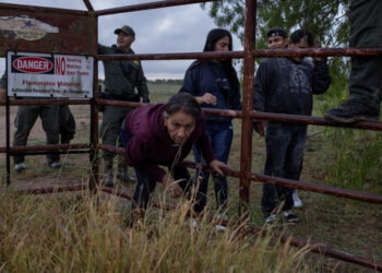 Soil law | A judge will suspect Donald Trump’s decree on citizenship