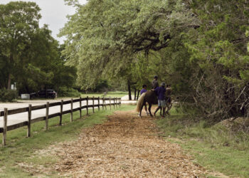 Texas floods | Thanks to solidarity, a camp reopens near the Guadalupe river