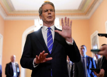 The American secretary to the critical treasury towards Elon Musk