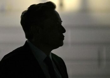 The “Party of America” ​​| Elon Musk creates his political training